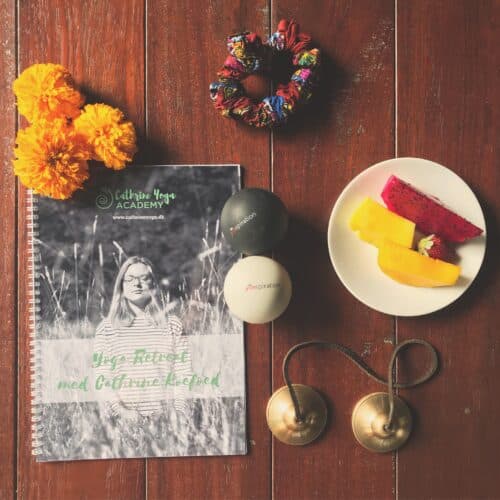 Manual fra Yang yogauddannelsen på bord med blomster, frisk frugt, meditationsklokker, massagebolde og hårelastik