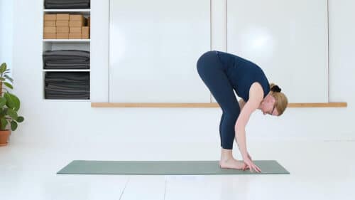 Cathrine underviser yogaklassen Plankeflow - Planken 101 online