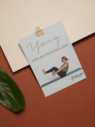 Yang Yoga Uddannelse Manual