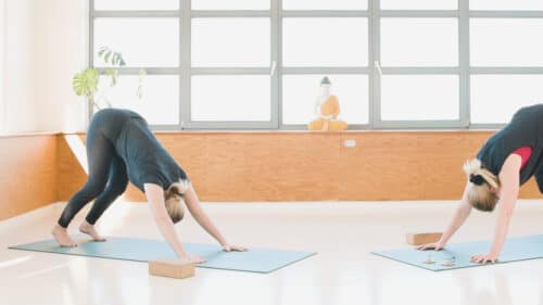 Cathrine underviser online yogaklassen Yin yang for stærke lunger