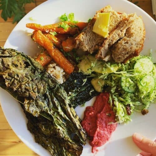 Yogaretreat i Sverige Tag på yogaferie i Sverige (Skoven Kalder)