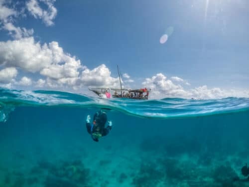 dykkerudflugt på yogarejse til Zanzibar