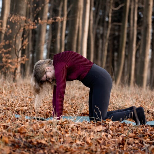 Cathrine laver yin yang yoga for fordøjelsen i en skov om efteråret