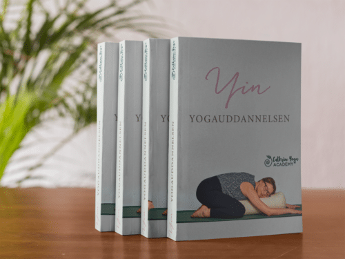 Manual til yin yogauddannelsen