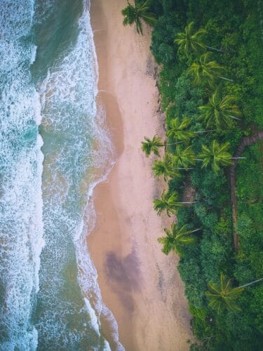 Stranden på Ayurveda Retreat i Sri Lanka med azurblåt hav og palmer