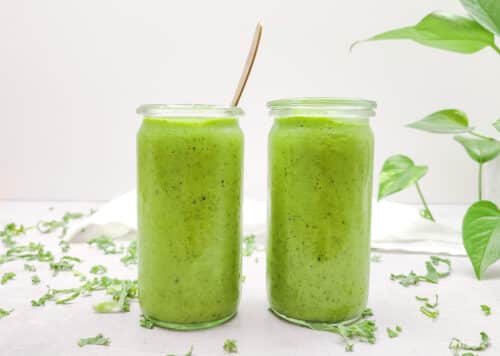 Grønkålssmoothie – opskrift på en cremet og sød grønkålssmoothie med masser af grønt