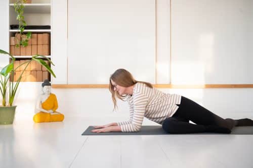 Yin yang yoga | Twist & detox (live)