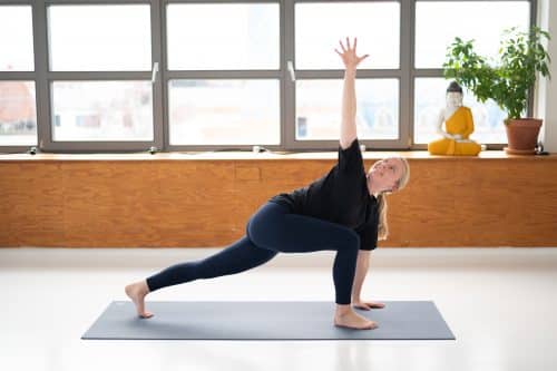 Yang for ryggen | Twist & flow