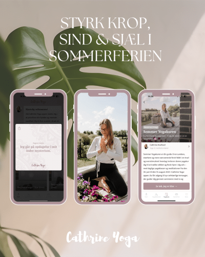 Sommer Yogakuren