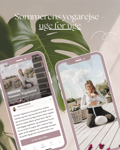 Sommer Yogakuren