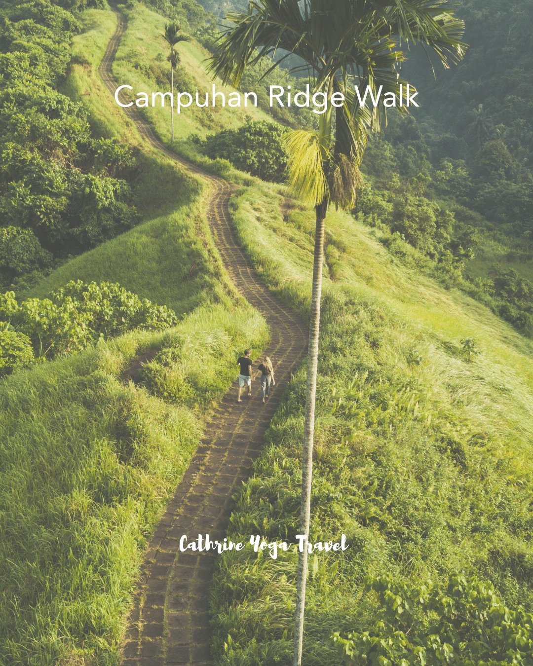 Campuhan Ridge Walk