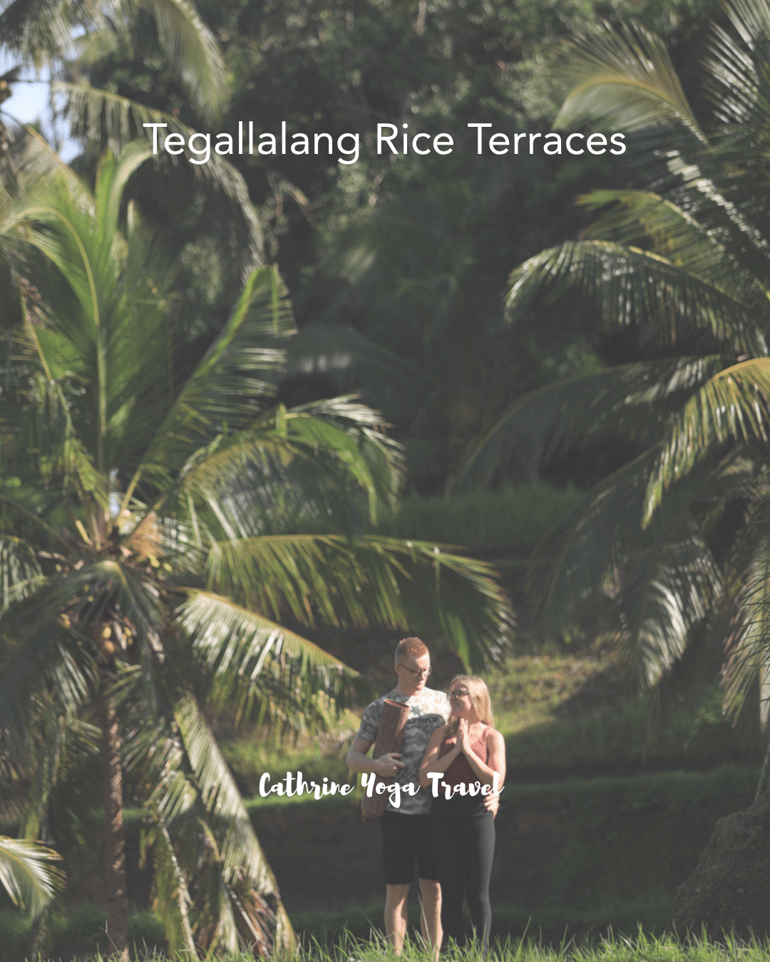 Tegallalang Rice Terraces